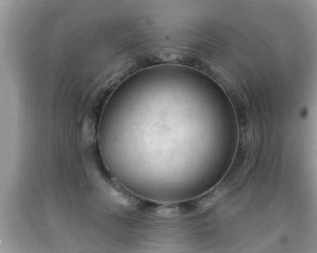 X0000091970606200709131340