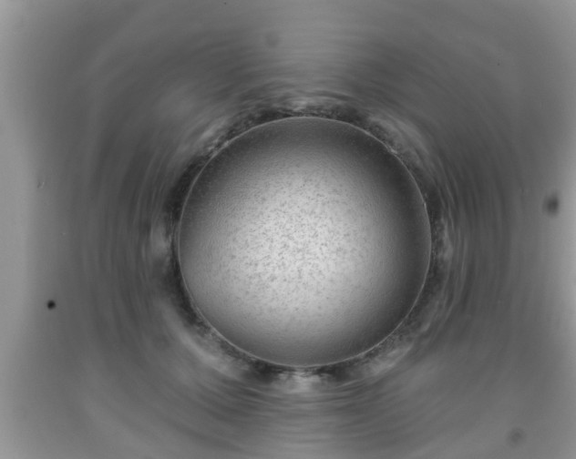 X0000091970607200709131340