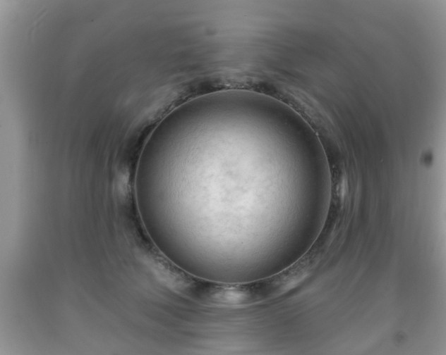 X0000091970610200709131340