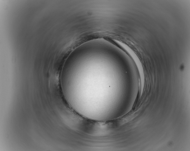 X0000091970613200709131340