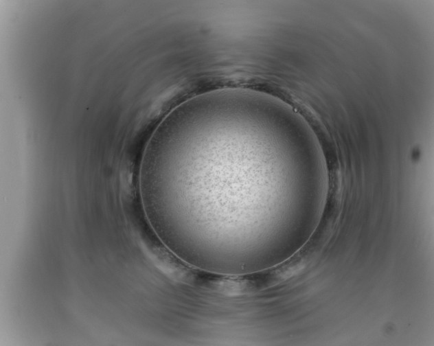 X0000091970615200709131340