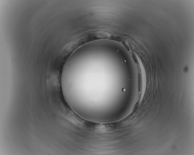 X0000091970616200709131340