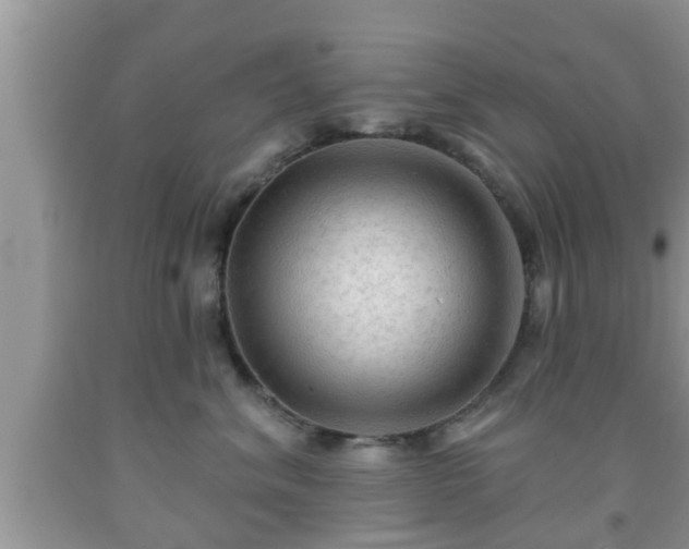 X0000091970620200709131340