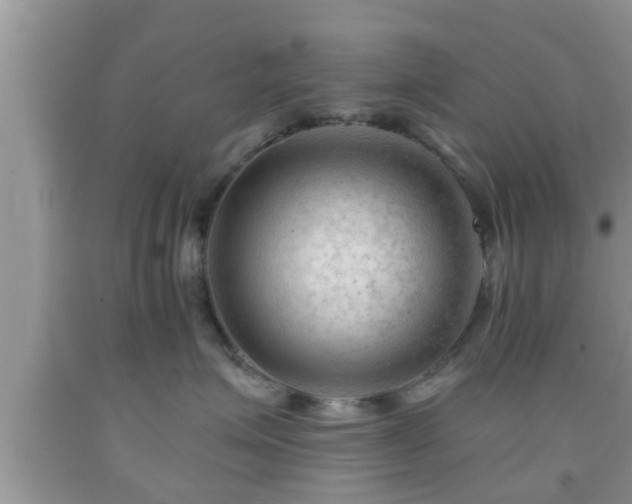 X0000091970623200709131340