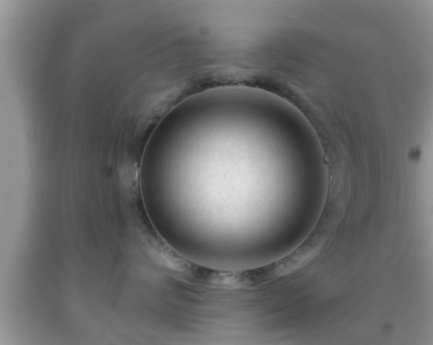 X0000091970624200709131340