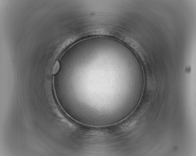 X0000091970625200709131339