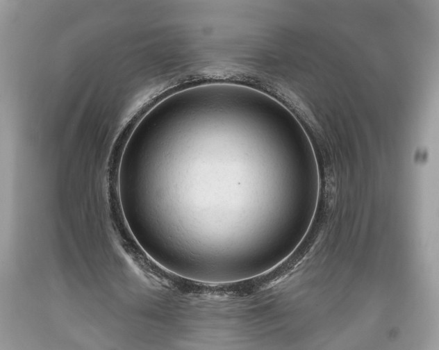 X0000091970626200709131339