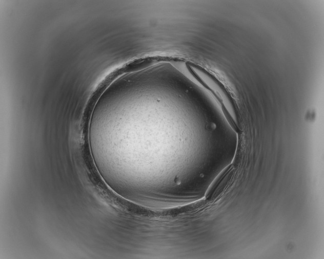 X0000091970628200709131339