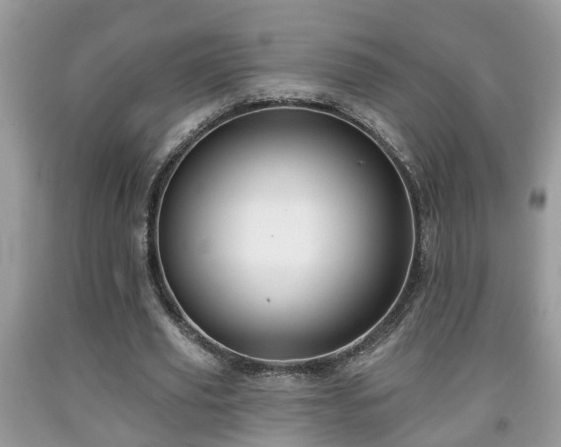 X0000091970629200709131339