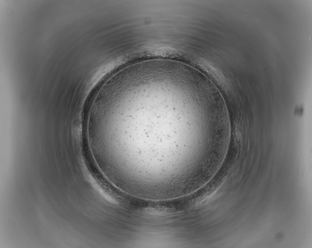 X0000091970630200709131339
