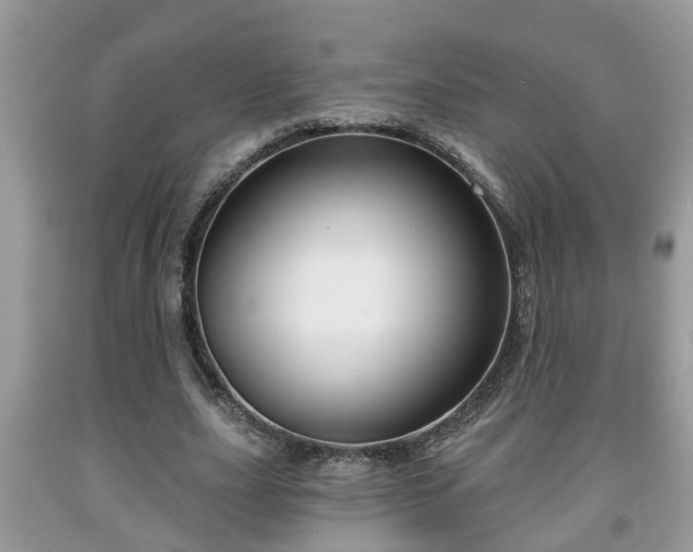 X0000091970631200709131339
