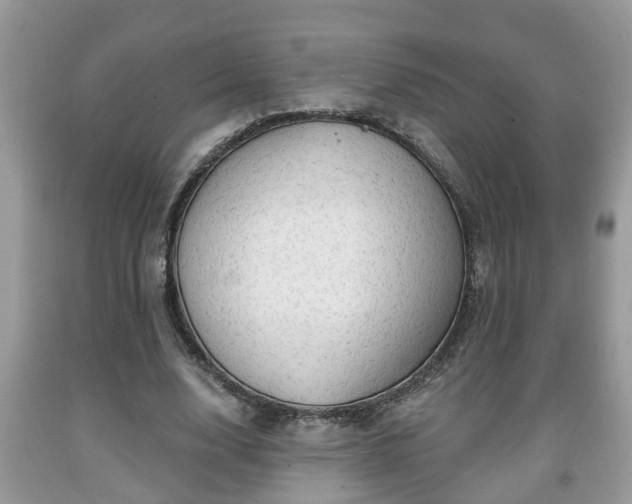 X0000091970632200709131339