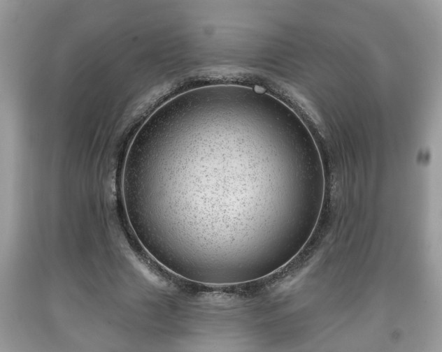 X0000091970633200709131339