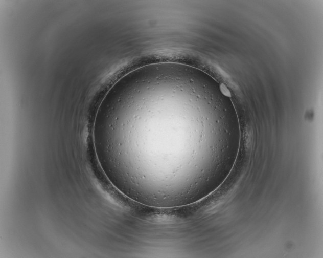 X0000091970637200709131339