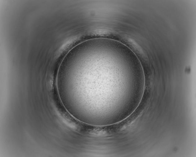 X0000091970640200709131339