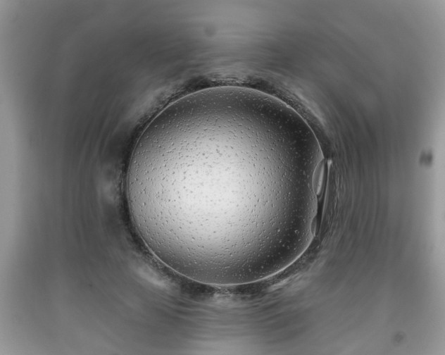 X0000091970641200709131339