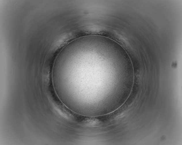 X0000091970642200709131339