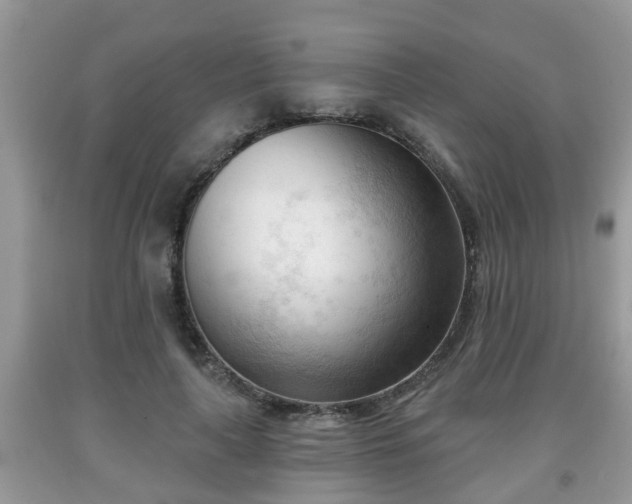 X0000091970643200709131339