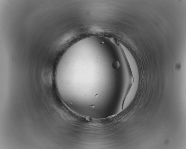 X0000091970644200709131339