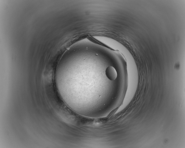 X0000091970647200709131339