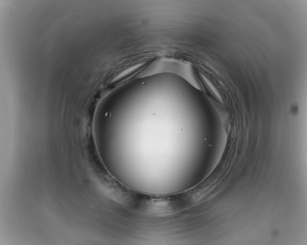 X0000091970651200709131339