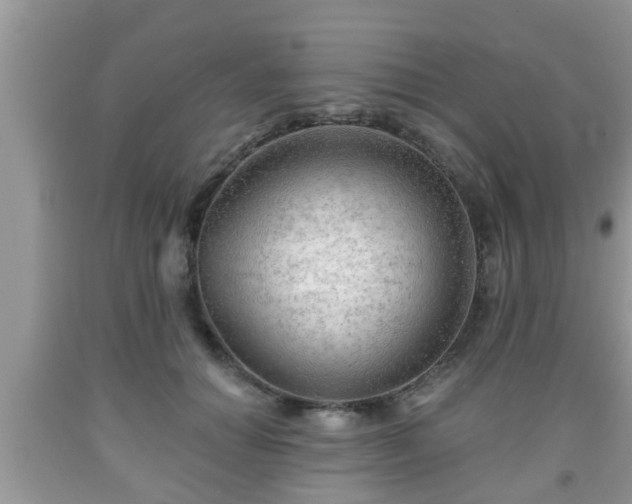 X0000091970654200709131339