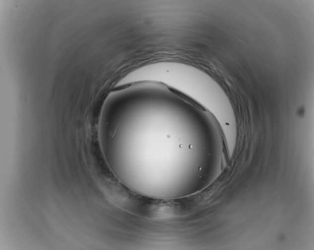 X0000091970655200709131339