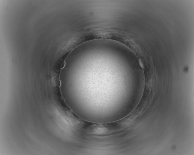 X0000091970658200709131339