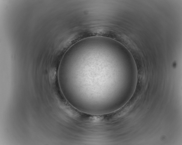 X0000091970660200709131339