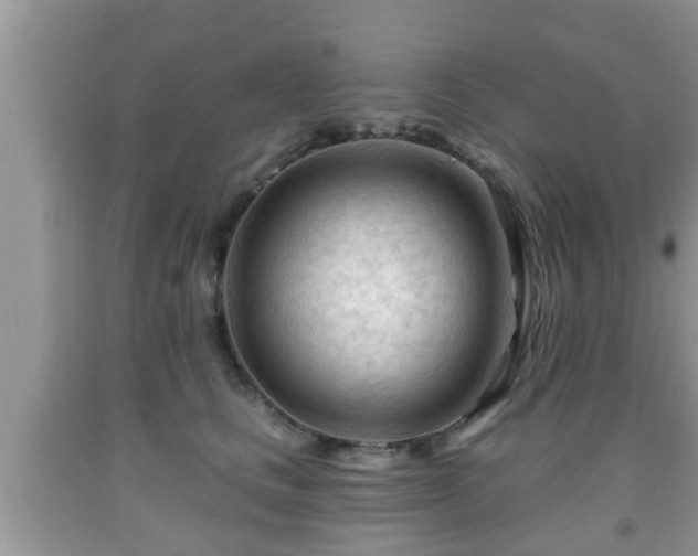 X0000091970661200709131339