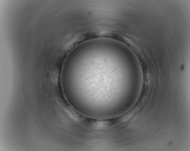 X0000091970664200709131339