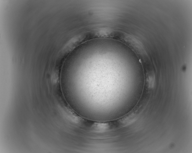 X0000091970665200709131339