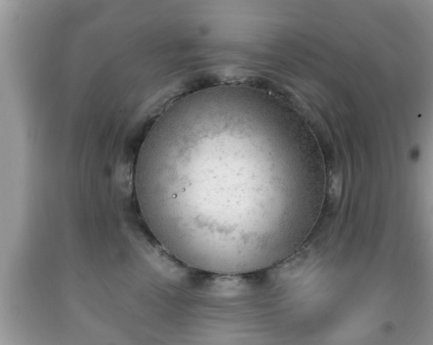X0000091970666200709131339