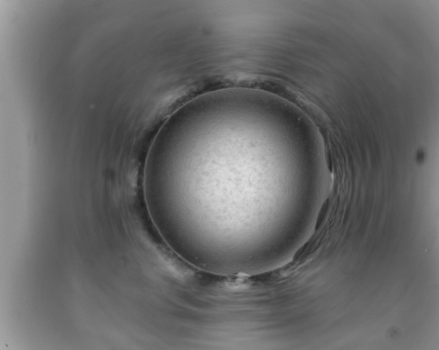 X0000091970668200709131339