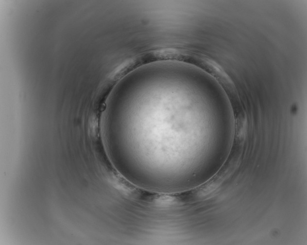 X0000091970669200709131339