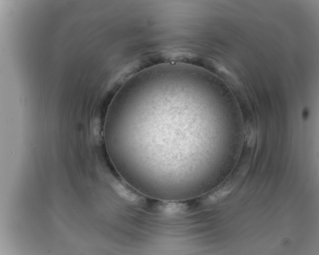 X0000091970670200709131340