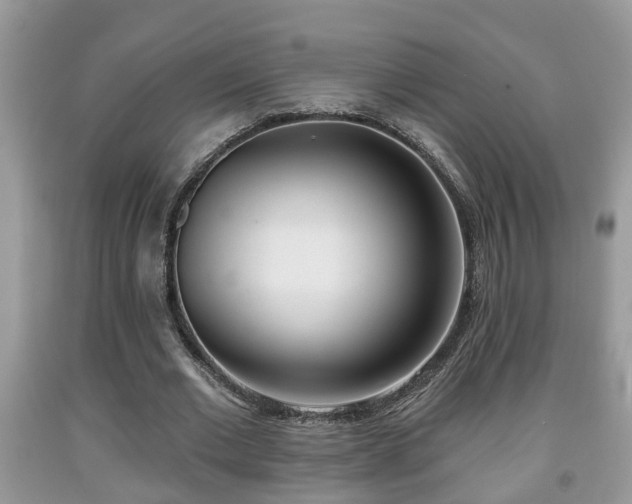 X0000091970677200709131339