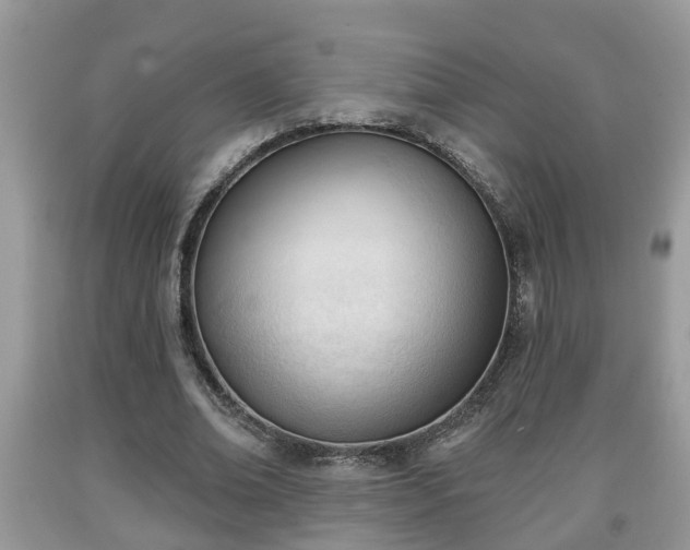 X0000091970678200709131339