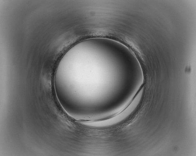 X0000091970681200709131339