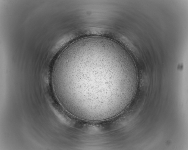 X0000091970683200709131339