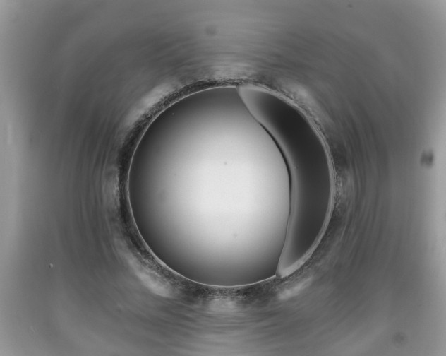 X0000091970684200709131339