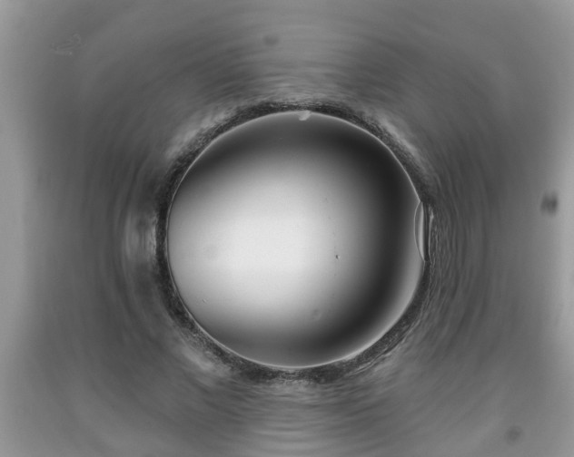 X0000091970685200709131339