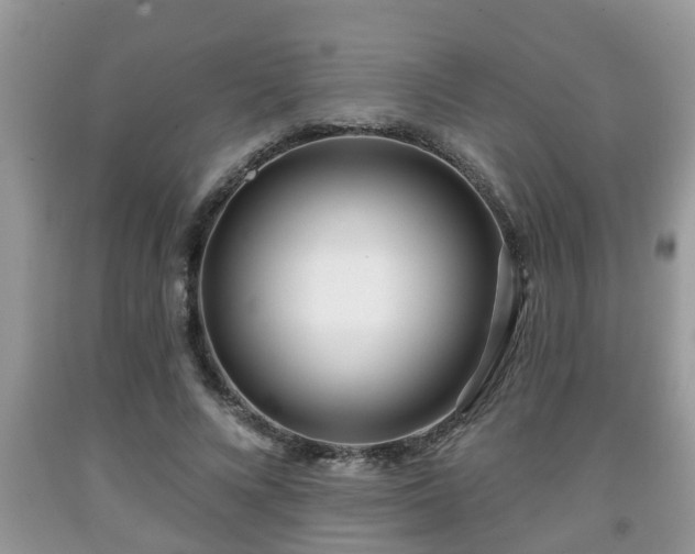 X0000091970688200709131339