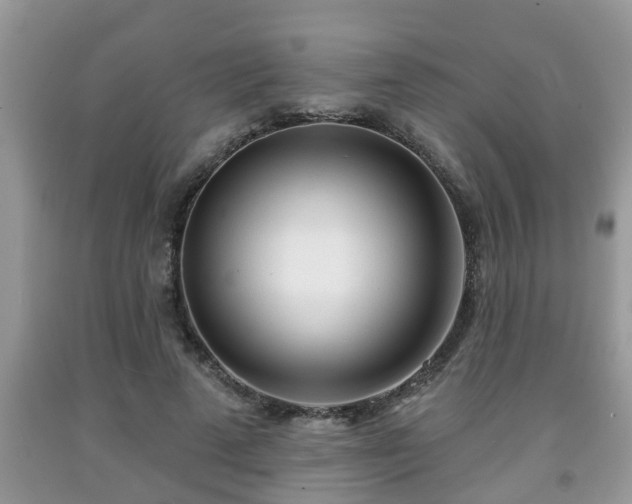 X0000091970689200709131339