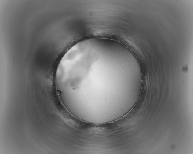 X0000091970691200709131339