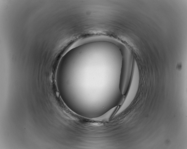 X0000091970692200709131339