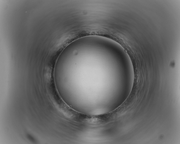 X0000091970695200709131338