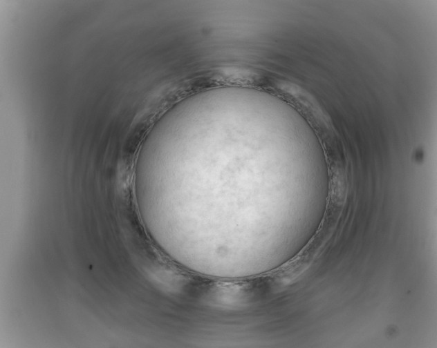 X0000091970701200709131338