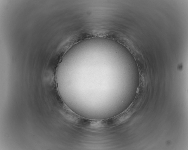 X0000091970705200709131338