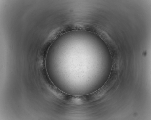 X0000091970706200709131338